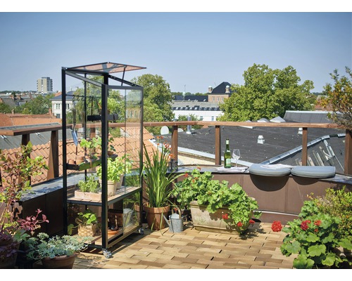 Dachgarten mit Gewächshaus, Pflanzen und Sitzgelegenheiten