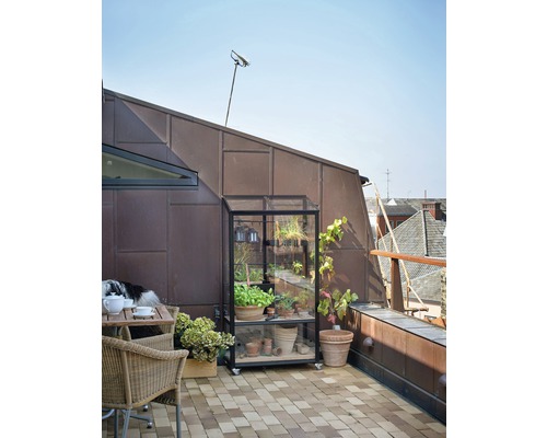 Szene mit einem kleinen Gewächshaus auf einer Terrasse mit Pflanzen, einem Tisch und Stühlen.