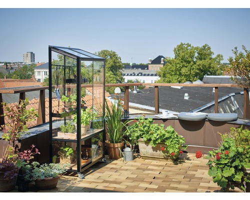 Szene auf einer Dachterrasse mit einem Gewächshaus, Pflanzen in Töpfen und Gartenaccessoires.
