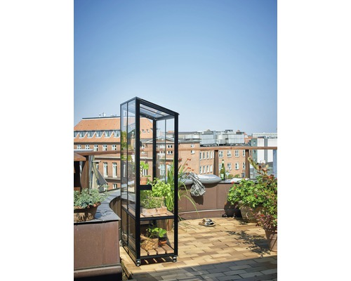 Gewächshaus mit Pflanzen auf einer Dachterrasse