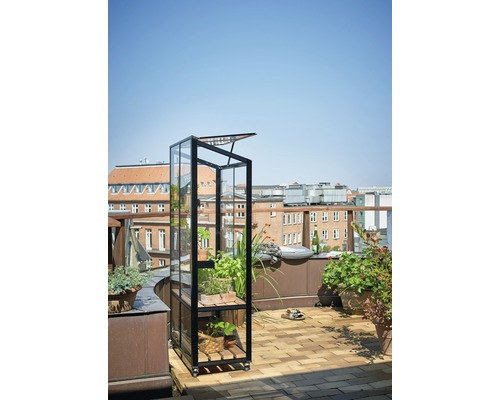 Gewächshaus mit Pflanzen auf einem Dachgarten