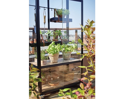 Gewächshaus mit Pflanzen, Werkzeugen und Regalen für den Garten