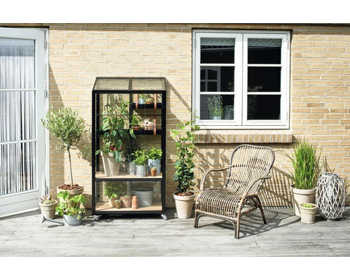 Aussenbereich mit Gewächshausregal, Pflanzen und Rattansessel vor einer Backsteinmauer
