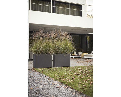 Deux bacs à plantes rectangulaires en plastique avec des graminées ornementales dans le jardin