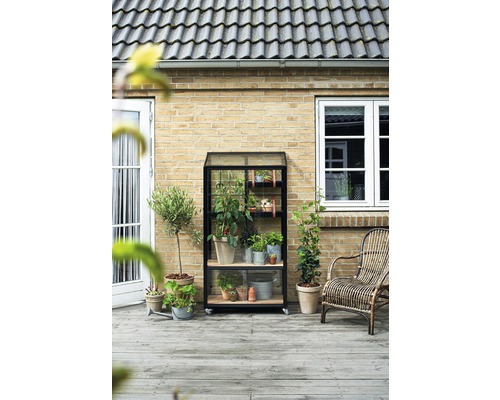 Gewächshausregal mit Pflanzen auf einer Terrasse