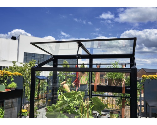 Gewächshaus mit geöffnetem Fenster auf einem Dachgarten mit Pflanzen