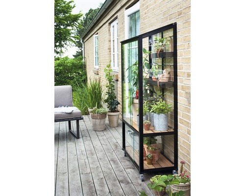 Gewächshaus mit Pflanzen auf einer Terrasse vor einem Backsteingebäude