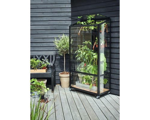 Mobiles Gewächshaus mit Pflanzen auf einer Terrasse
