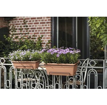Deux jardinières avec des fleurs sur un balcon.