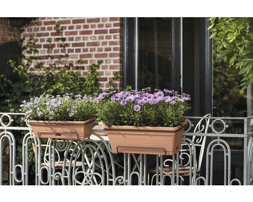 Deux jardinières avec des fleurs sur un balcon.
