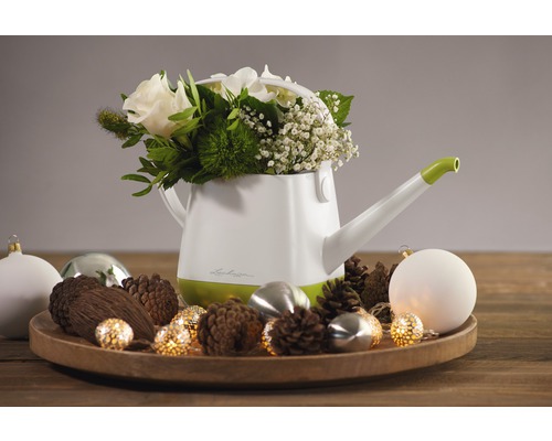 Arrosoir Lechuza avec arrangement floral sur plateau en bois avec décoration