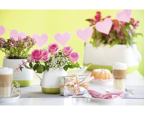 Table décorative avec plantes, boissons et cadeau