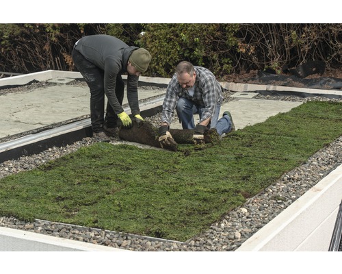 Zwei Personen verlegen Rollrasen auf einem Dach.