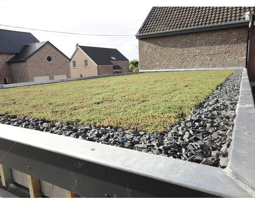 Ansicht eines begrünten Flachdachs mit Kiesumrandung