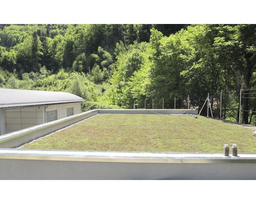 Ansicht eines extensiv begrünten Daches auf einem Gebäude vor bewaldeter Landschaft.