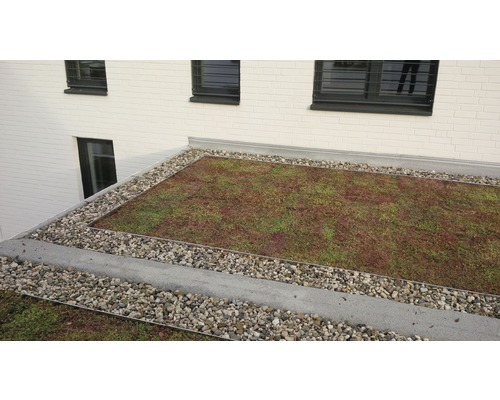 Ansicht eines begrünten Flachdachs mit Kiesrand