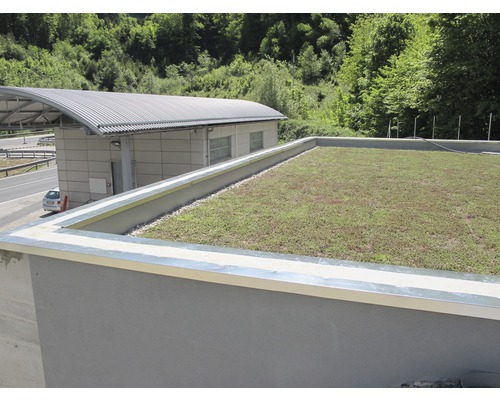 Flachdach mit extensivem Gründach und Dachrandprofil