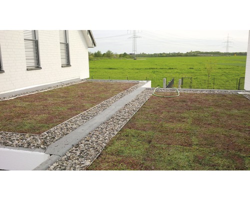 Begrüntes Dach mit Kiesstreifen und Dachrinne an einem Haus