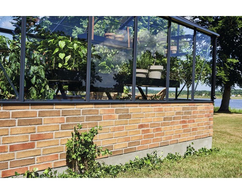 Gewächshaus mit Pflanzen auf Regalen und einer Ziegelsteinmauer