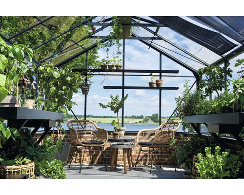 Innenraum eines Gewächshauses mit Pflanzen, Regalen und Sitzgelegenheiten