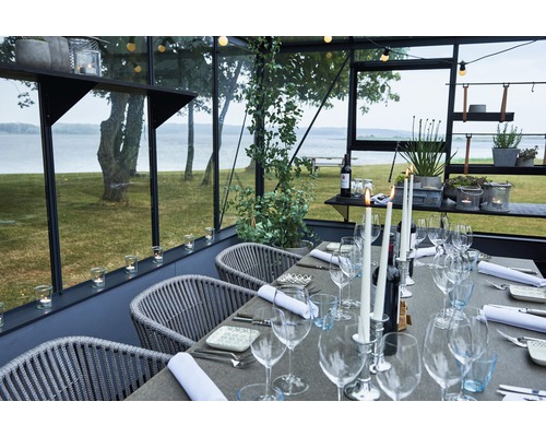 Scène avec table à manger dans une serre, dressée avec de la vaisselle et des verres