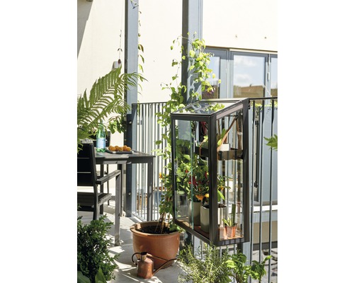 Balkon mit Tisch, Stuhl und einem Gewächshaus mit Pflanzen.