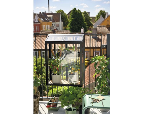 Balkonszene mit Gewächshaus, Pflanzen und Gartenzubehör