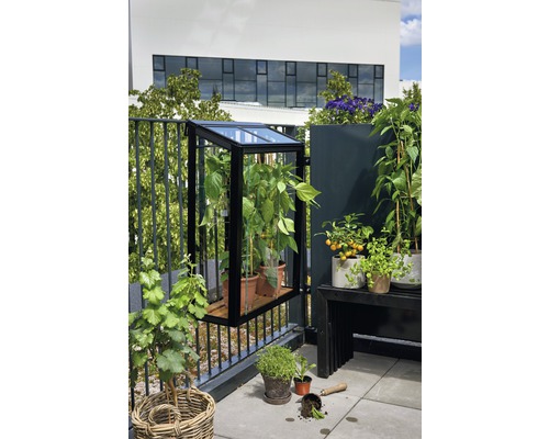 Balkonszene mit Anlehngewächshaus, Pflanzen und Gartenzubehör