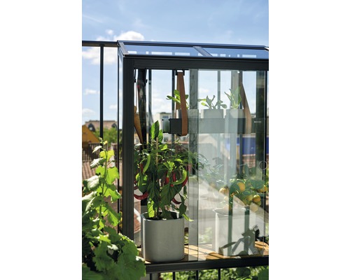 Balkongewächshaus mit verschiedenen Pflanzen in Töpfen.