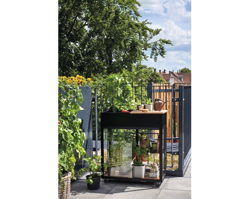 Hochbeet auf Rollen mit Pflanzen und Gartenzubehör auf einem Balkon.