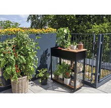 Jardinière surélevée sur pilotis JULIANA Vertical 71x33x142 cm noir