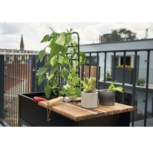 Jardinière surélevée sur pilotis JULIANA Vertical 71x33x142 cm noir