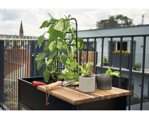 Hochbeet mit Rankhilfe, Pflanzen, Pflanzwerkzeug und Blumentöpfen auf einem Balkon