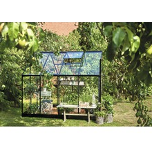 Gewächshaus mit Glaswänden und Pflanzen im Garten