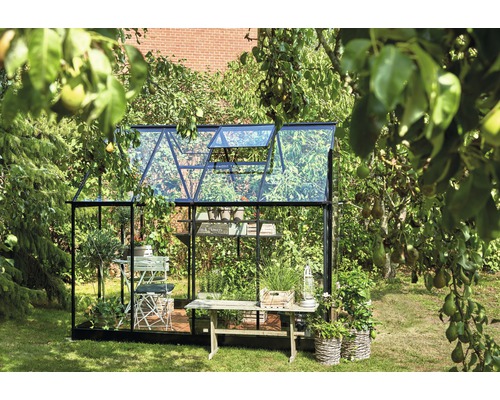 Serre Halls Qube 68 5,1 m² verre de sécurité 3 mm 198 x 259 cm noir