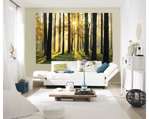 Salon avec papier peint à motif de forêt, canapé et table basse