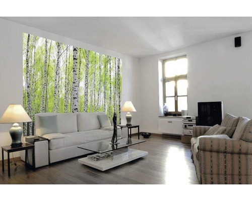 Wohnzimmer mit Birkenwald-Fototapete, Sofa und Möbeln