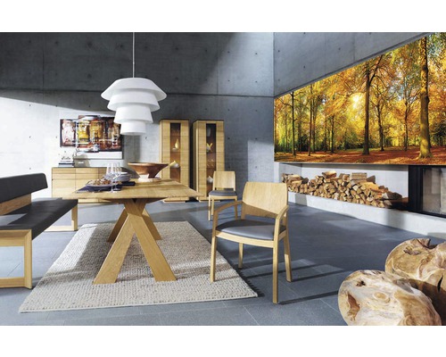 Esszimmer mit Esstisch, Stühlen, Bank, Sideboard, Vitrinenschränken, Lampe, Dekoration und Kaminholz