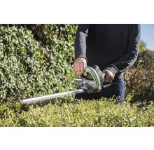Person schneidet Hecke mit einer Heckenschere