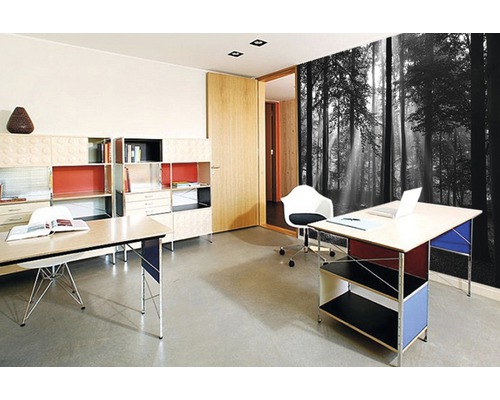 Bureau avec bureaux, étagères et un papier peint photo avec un motif de forêt