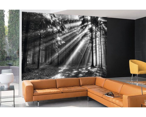 Papier peint photo avec motif de forêt en noir et blanc dans un salon moderne