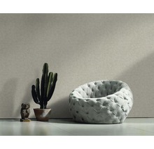 Scène d''ameublement avec fauteuil, cactus et figurine décorative