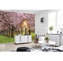 Salon lumineux avec papier peint photo d''un parc fleuri au printemps