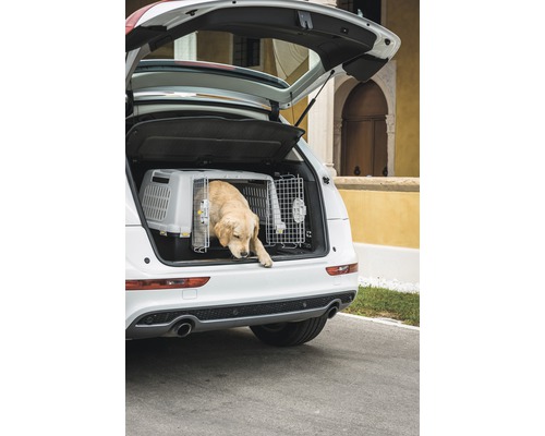 Hund in einer Hundetransportbox im Kofferraum eines Autos