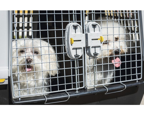 Zwei Hunde in einer Transportbox mit Gittertür.
