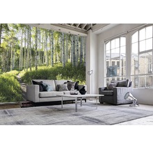 Fototapete Vlies 18043 Birch Hiking Trail 7-tlg. 350 x 260 cm