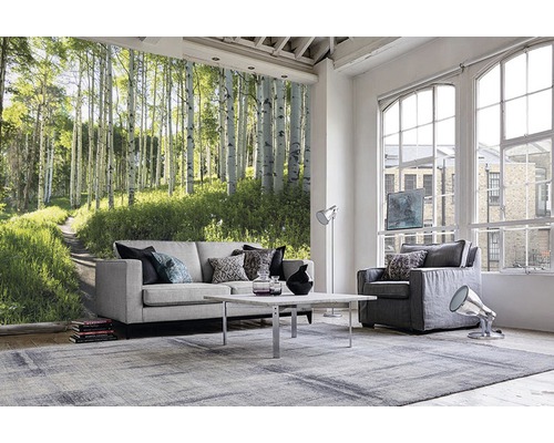 Salon avec papier peint photo, canapé, fauteuil, tapis et table basse