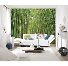 Fototapete Vlies 18046 Bamboo Forest 7-tlg. 350 x 260 cm