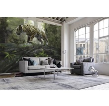 Papier peint panoramique intissé 18063 Jaguar on the Prowl 7 pces 350 x 260 cm