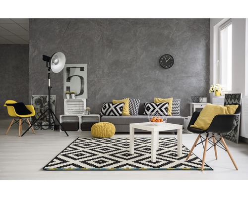 Salon avec canapé, tapis et décoration